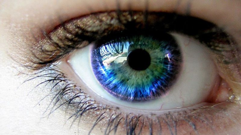 Fakta Unik Dibalik Warna Mata Yang Berbeda-Beda